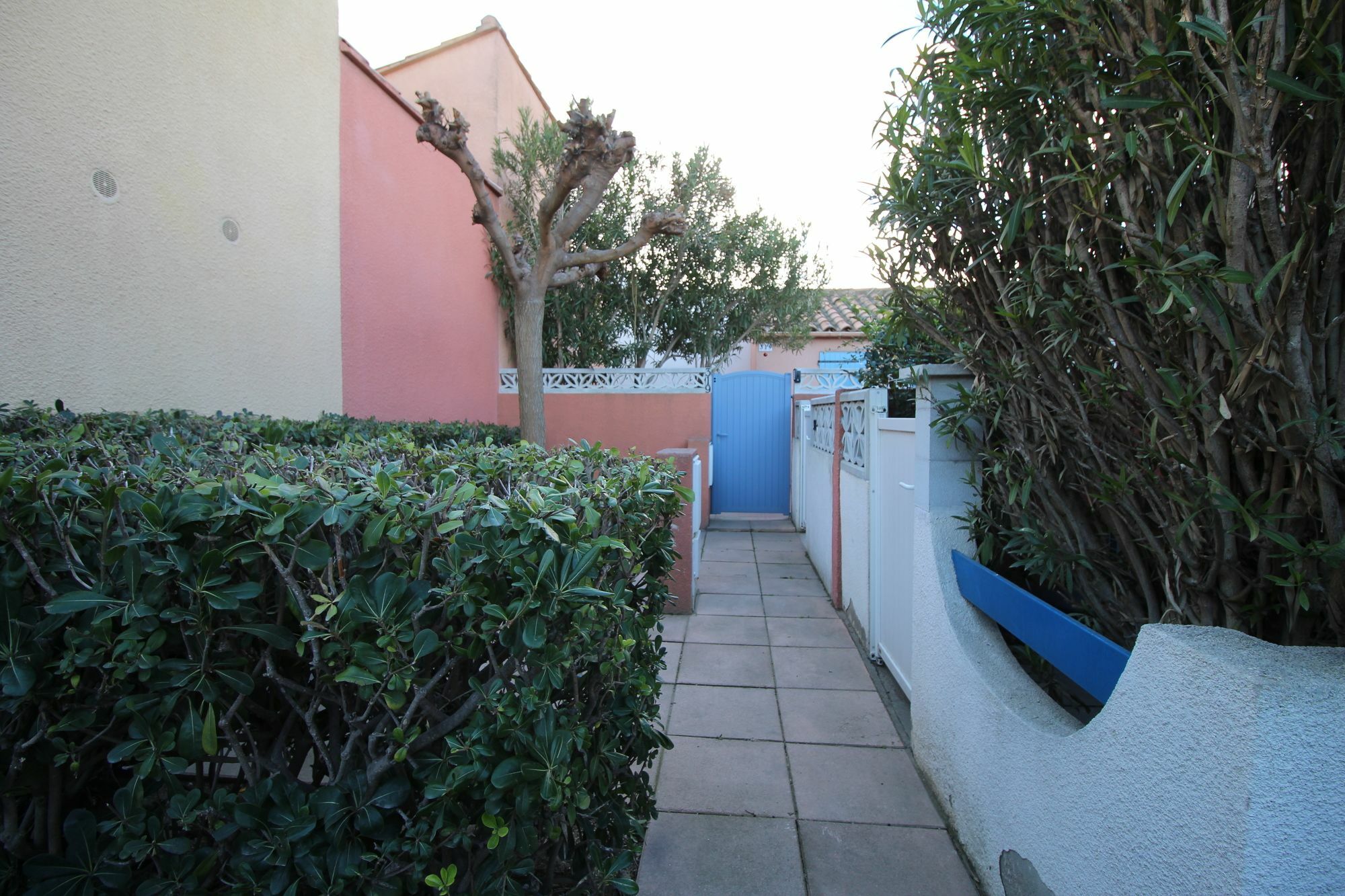 Appartement Charmant A Canet En Roussillon 36 M² Piscine Partagee Екстер'єр фото